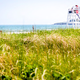 Illustration for article titled 39 Photos Of Your Amazing Summer Vacations